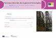 Reconocimiento de especies forestaleseforown.ctfc.cat/pdf/Fitxa 7b- castella_Reconocer... · semilla, son plantas que tienen las semillas al descubierto o al menos sin la protección