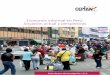 Economía informal en Perú: Situación actual y perspectivasa... · Las actividades económicas informales pueden proporcionar ingresos básicos para aquellas personas que no pueden
