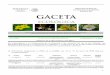 E F I L G E P A R M I A PEIA DGIRA, - Jaliscotransparencia.info.jalisco.gob.mx/sites/default/files/gaceta_22-15 (1).pdf · marcha de caseta de cloracion mia.-particular 21-may-15