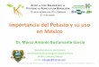 Importancia del Potasio y su uso en México · Importancia del Potasio y su uso en México Dr. Marco Antonio Bustamante García Departamento de Horticultura Universidad Autónoma