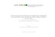 Constructo Teórico basado en las experiencias académicas ...biblioteca2.ucab.edu.ve/anexos/biblioteca/marc/texto/AAT4132.pdf · rendimiento académico de los estudiantes de la carrera