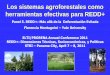 Los sistemas agroforestales como herramientas efectivas para …elti.fesprojects.net/2011_REDD_Conf_Panama/montagnini.pdf · 2011-05-02 · STRI –Panama City, April 7 –8, 2011