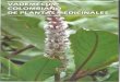  · 2018-09-19 · AJENJO Nombre científico Artemisia absinthium L. Sinónimos Artemisia absinthium var. insipida Stechmann (Missouri Botanical Garden, 2007) Nombres comunes: Ajenjo,