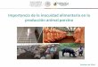 Importancia de la inocuidad alimentaria en la producción ...Importancia de la inocuidad alimentaria en la producción animal porcina. México: sector agroalimentario en cifras 