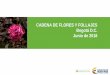 CADENA DE FLORES Y FOLLAJES Bogotá D.C. Junio …...Indicadores generales • El sector representa el segundo renglón de exportaciones agrícolas del país. • Es el segundo exportador
