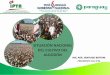 Presentación de PowerPoint · 2018-07-06 · Agricultura Familiar del Paraguay GCP/RLA/199/BRA 2014 - 2018 OBJETIVO Fortalecer la institucionalidad pública involucrada en el sector