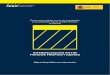 DIFERENCIACIÓN ENTRE FONDOS PROPIOS Y …Premio para trabajos cortos de investigación en Contabilidad “Carlos Cubillo Valverde” (V Edición) DIFERENCIACIÓN ENTRE FONDOS PROPIOS