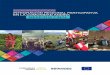 › StaticFiles › 20181211143748MemoriaINPANDES.pdf PROYECTO INPANDES INTEGRACIÓN REGIONAL …FICHA TÉCNICA El Proyecto de Integración Regional Participativa en la Comunidad Andina