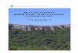 PLAN DE MANEJO BAVC - Cambium Uruguay 2018Plan de Manejo BAVC – Cambium Forestal Uruguay S.A. – 2018 3 2 1 CRITERIOS DE CONSERVACIÓN La identificación de las áreas de alto valor