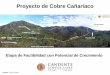 Proyecto de Cobre Cañariaco - Mining Pressminingpress.com/media/briefs/proyecto-canariaco_1434.pdf · Actualmente se trabaja con asociaciones de productores de Café y Quinua. Save