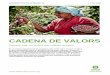 CADENA DE VALORS - Tierra Madre · RESUM Les cadenes de valor en el comerç de productes alimentaris reflecteixen el viatge que fa un producte des que és recol·lectat fins que arriba