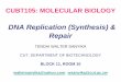 DNA Replication (Synthesis) & RepairCUBT105: MOLECULAR BIOLOGY DNA Replication (Synthesis) & Repair TENDAI WALTER SANYIKA CUT, DEPARTMENT OF BIOTECHNOLOGY BLOCK 11, ROOM 10 waltersanyika@yahoo.com;