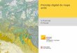 Prototip digital de mapa antic - Institut Cartogràfic i ......Tilemill de Mapbox (GDAL) 1 PBF de 16 GB. 3 Prototip digital de mapa antic Barcelona 12 de desembre de 2017. Quadtree