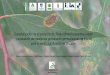 Presentación de PowerPoint · Invasiones biológicas en sistemas forestales Australia Andjic et al., 2010 Eucalyptus sp. E. grandis x E. camaldulensis DAÑO SÍNTOMAS HOSPEDEROS