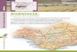Guía de las mejores Frutas y Hortalizas · 2009-01-14 · 23 El ‘Espárrago GUÍA de las Mejores Frutas y Hortalizas de Huétor-Tájar’ crece en la Vega de Granada, y es considerado