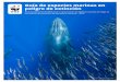 Guía de especies marinas en peligro de extinción...Guía de especies marinas en peligro de extinción Recomendaciones de WWF para la conservación de especies marinas en riesgo en