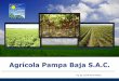 Agrícola Pampa Baja S.A.C. · Proyecto Olmos Proyecto Olmos: Chiclayo 1,370 hectáreas, Olmos- Chiclayo. Estudios, permisos, licencias, tramites desde 2012, ya concluido Desarrollo
