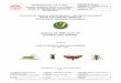 MN-GAA-01 MANUAL DE PRACTICAS DE LABORATORIO - … MANUAL DE PRACTICAS DE...Reconocer todos los órdenes de insectos y familias de mayor importancia biológica, agrícola, médica