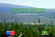 Industria Forestal Primaria en Chile · acumulación de información sobre la industria forestal primaria, que está disponible a través de consultas en línea en el módulo de estadísticas