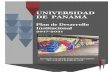 UNIVERSIDAD DE PANAMÁ - up.ac.pa · 2019-03-01 · No. 24, Orgánica de la Universidad de Panamá y del Estatuto Universitario. El éxito de la formulación del PDI descansa en su