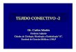 TEJIDO CONECTIVO -2 - UNLP · 2014-04-08 · Tejido Conectivo Componentes Líquido Agua Sales Inorgánicas Proteínas solubles Hormonas Factores de Crecimiento Células “Fijas”