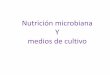 Nutrición microbiana Y medios de cultivosgpwe.izt.uam.mx/files/users/uami/acym/nutricion_y... · 2011-06-13 · Medios de cultivos Material nutritivo en el que se pueden recuperar,