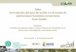 Taller Formulación del plan de acción en el núcleo de ... · Barranquilla, 5 de diciembre de 2017 Taller Formulación del plan de acción en el núcleo de plantaciones forestales