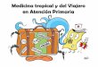 ¿Por qué es importante la patologíafundacionio.org/docs/cursos/tropicales_atencion_primaria_manuel_linares.pdf · Estudiar el papel de los profesionales españoles de atención