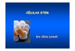 CÉLULAS STEM - jmordoh.com.aren el ciclo de división celular Después de una injuria, existiría reclutamiento de células stem residentes y/o circulantes Estos mecanismos endógenos