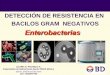 DETECCIÓN DE RESISTENCIA EN BACILOS GRAM NEGATIVOSpatologiaclinicamexicana.org.mx/minisite/merida/conferencias/27/02.pdf · DETECCIÓN DE RESISTENCIA EN BACILOS GRAM NEGATIVOS Enterobacterias