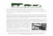 Aturdimiento eléctrico de animales de carne roja · 2016-06-16 · Estas notas de guía explican la teoría, la práctica y el uso de la electricidad para aturdir y sacrificar 