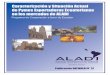 Caracterización y Situación Actual de Pymes Exportadoras …aladi.org/biblioteca/Publicaciones/ALADI/Secretaria... · 2012-05-18 · 1 . PRESENTACIÓN . La Secretaría General de
