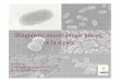 Diagnòstic microbiològic precoç de la sèpsia · Tinció de Gram, un cop detectat creixement BGN enterobactèria Pseudomonas Diplococs gram positius CGP estafilococ ... Otros coagulasa
