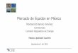 Montserrat Ramiro Ximénezcre.gob.mx/documento/5597.pdf · Fuente: SENER, Pemex-Refinación. • 80% de la infraestructura de almacenamiento está saturada • La red de poliductos