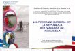 Presentación de PowerPointLA PESCA DE SARDINA EN LA REPÚBLICA BOLIVARIANA DE VENEZUELA José Mendoza/Telimay Castro Ministerio de Pesca y Acuicultura Derechos de Tenencia y Derechos