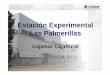 Estación Experimental Las Palmerillas · Proyecto CICYT: Rajado del tomate; Mejora de la eficiencia energética y del control de la humedad ambiental en los invernaderos del litoral