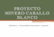 PROYECTO MINERO CABALLO BLANCO - UNAMdepa.fquim.unam.mx/amyd/archivero/... · 2017-10-13 · • "Caballo Blanco" es un proyecto de la minera canadiense Goldgroup • Tipo de mina