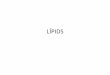 LÍPIDS - WordPress.com · 1. Àcids grassos = Acils •No es solen trobar lliures a la cèl·lula formen els lípids saponificables Cadena llarga de C units a H + grup carboxílic