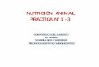 NUTRICIÓN ANIMAL PRACTICA N° 1 - 3practica n° 1 - 3 composicion del alimento muestreo materia seca y humedad reconocimiento de carbohidratos. composicion del alimento. determinacion