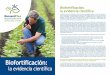 El mejoramiento genético de los cultivos aumenta los ...lac.harvestplus.org/wp-content/uploads/2019/06/biofortificacion-la-evidencia... · El mejoramiento genético de los cultivos