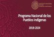 Programa Nacional de los Pueblos Indígenas 2018-2024. México. · La riqueza natural de los Pueblos Indígenas México es la cuarta nación en diversidad biológica en el mundo