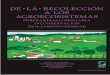 DE LA RECOLECCIÓN A LOS AGROECOSISTEMASsii.ecosur.mx/Content/ProductosActividades/archivos/25562... · 2018-12-06 · DE LA RECOLECCIÓN A LOS AGROECOSISTEMAS SOBERANÍA ALIMENTARIA