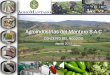 Agroindustrias del Mantaro S.A - bcrp.gob.pe · Fondos de Alcachofa Criolla en conserva: •Son utilizados por la alta cocina para la producción de platos especializados relleno