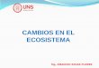 CAMBIOS EN EL ECOSISTEMA - Universidad Nacional del Santabiblioteca.uns.edu.pe/saladocentes/archivoz/curzoz/ecologia_2015u2_1.pdf · del ecosistema de la corriente de Humboldt, frente
