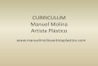 CURRICULUM Manuel Molina Artista Plástico - Ateneo de Madrid · 2020-02-10 · Molina es un artista que vive entre las contradicciones de la luz y de la sombra, de los elementos