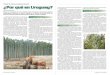 Plantas de celulosa y expansión forestal · 2013-12-07 · mundial de los bonos de carbono. La forestación ocupa el 4% del suelo uruguayo madera barata", aunque señaló otras cosas