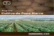 Programa de Cultivo Papa Sierra - farmagro.com.pe · Control de Alternaria Control de Epitrix y Diabróticas Programa Cultivo de Papa Sierra Desinfección de semilla para control