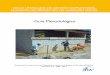 Temática: Gestión de Proyectos de Inversión Social · 10 Ficha de Prefactibilidad construcción proyectos de agua y saneamiento 11 Evaluación Individual para letrinas 12 Modelo