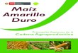 Cadena agroproductiva del Maíz Amarillo Duro Maíz ... - Gobagroaldia.minagri.gob.pe/biblioteca/download/pdf/agroeconomia/agroeconomiamaizamarillo...Cadena agroproductiva del Maíz