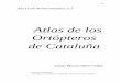 Atlas de los Ortópteros de Cataluña - Entomologia.Net209 ATLAS DE BIODIVERSIDAD, N.1 Atlas de los Ortópteros de Cataluña Josep Maria Olmo Vidal Texto en Castellano. Las figuras